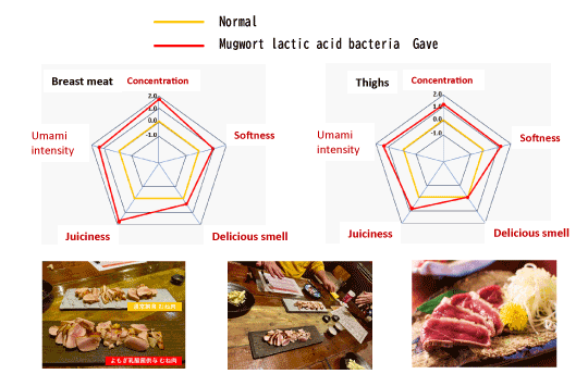 Taste Evaluation