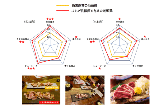 官能評価